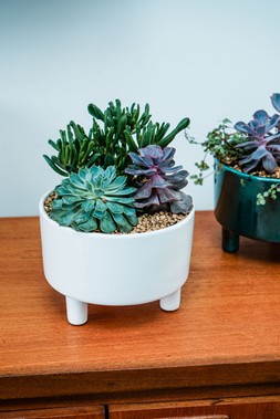 Pisa White Bowl H14cm D19cm &pound;29.99 3