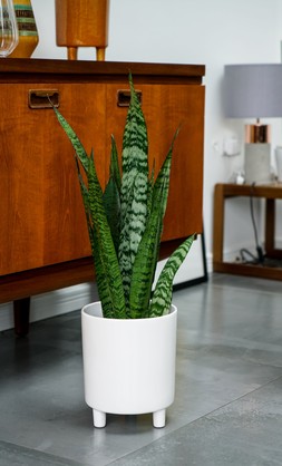 Pisa White Planter H24cm D20cm &pound;39.99 1