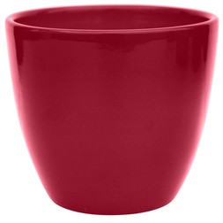 Poinsettia Planter Bordeaux H12cm D13cm &pound;7.99, H14cm D15cm &pound;9.99, H16cm D17.5cm &pound;12.99, H17cm D20cm &pound;15.99