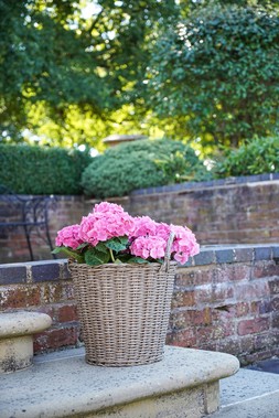 POLYRATTAN NATURAL LINED PLANTER H49CM D44CM &pound;59.99
