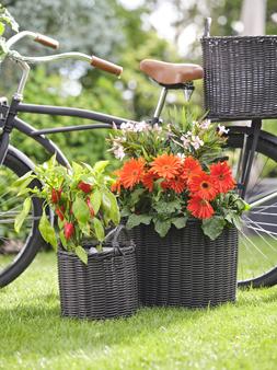 POLYRATTAN SET OF TWO LINED PLANTERS WILLOW &pound;79.98
