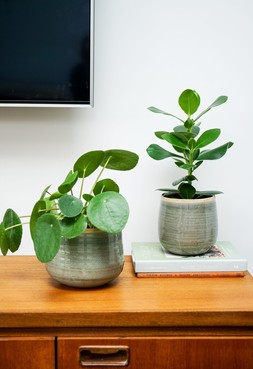 Pot Como Mint H12cm D14cm &pound;9.99 1