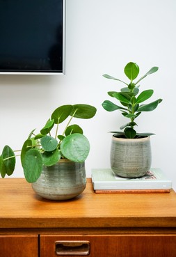 POT COMO MINT H12CM D14CM &pound;9.99 & POT COMO MINT H14CM D15CM &pound;12.99
