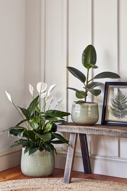 POT COMO MINT H12CM D14CM &pound;9.99