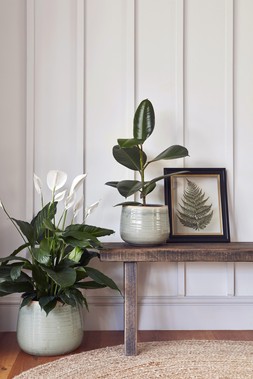 POT COMO MINT H14CM D15CM &pound;12.99 &