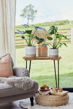 Puro Lipped Gloss Peach Ripple Planter H19cm D21cm &pound;34.99