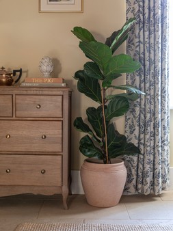Rhea Terracotta Planter H34cm D32cm &pound;69.99