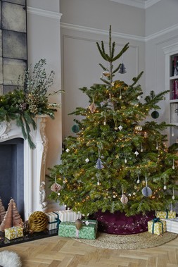 Ruby Velvet Misletoe Tree Skirt &pound;59.99