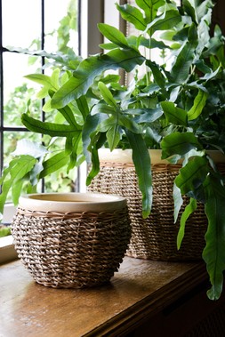 Seagrass Pot Cover Natural 14cm &pound;9.99 1