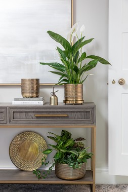 Solis Embossed Bowl Gold H15cm D30cm £49.99