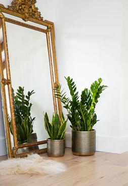 Solis Embossed Planter Gold H25cm D25cm &pound;49.99
