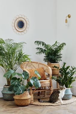 SEAGRASS CHEVRON TEAL LINED BASKETS