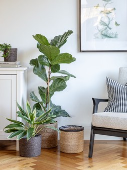 Theo Grey Basket H20cm D22cm &pound;12.99, Theo Grey Rim Basket H20cm D22cm &pound;12.99, Theo Grey Rim Basket H25cm D25cm &pound;14.99, Theo Grey Rim Basket Set Of 2 &pound;27.98