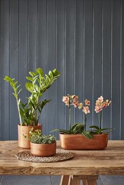 Tivoli Trio Planter Copper Lustre 32cm &pound;17.99, Tivoli Planter Copper Lustre H16cm D19cm &pound;17.99