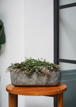 Tivoli Trio Planter Earth H10cm D32cm &pound;14.99 1