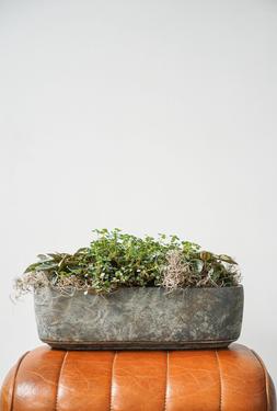 Tivoli Trio Planter Earth H10cm D32cm &pound;14.99