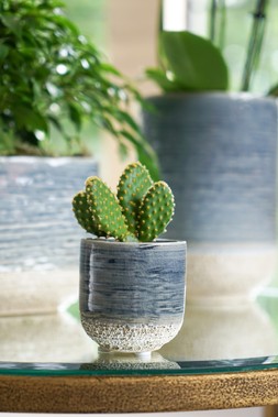 VASTO PLANTER DENIM H7CM D7CM &pound;4.99