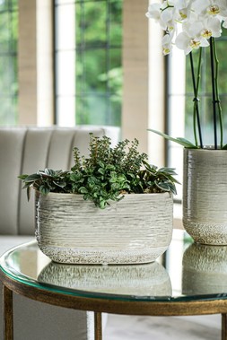VASTO PLANTER IVORY H13CM D24.5CM &pound;19.99