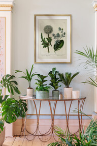 https://www.prshots.de/contents/archives/3698/1568/images/thumb350x287_auto/ivyline-kew-stoneware-sago-palm-planters-in-ivory-olive-17.99-29_44fa2_thumb.jpg