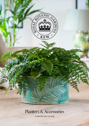 Ivyline - Kew