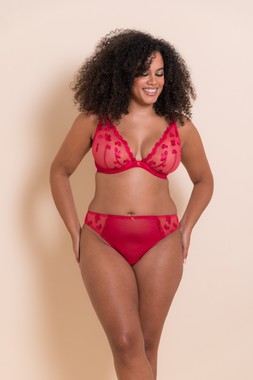 PUCKER UP DEEP LIPSTICK RED PLUNGE BRA £32 €48 & BRAZILIAN BRIEF £16 €25