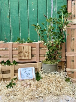 The New Baby Crate
