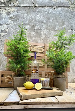 The Gin Lover’s Crate