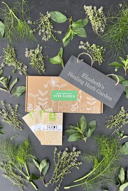 Grow Your Own Healing Herb Garden