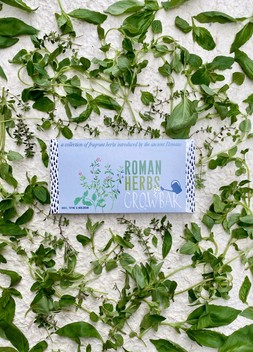 Roman Herbs Growbar