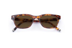 BRUCE MEDIUM HAVANA Lenses Brown