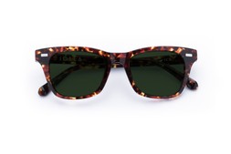 DUNCAN DARK TORTOISE Lenses Green