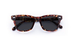 DUNCAN DARK TORTOISE Lenses Grey