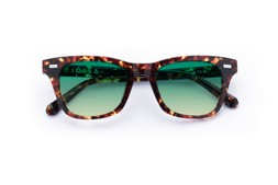 DUNCAN DARK TORTOISE Lenses Lagoon Haze