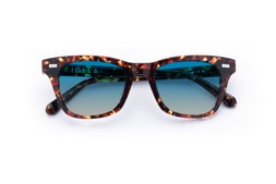 DUNCAN DARK TORTOISE Lenses Ocean Glow