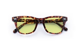 DUNCAN DARK TORTOISE Lenses Sunbeam