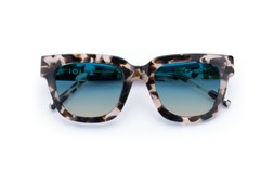 FERGUSON VANILA TORTOISE Lenses Ocean Glow