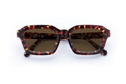 FINLAY DARK TORTOISE Lenses Brown