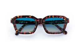 FINLAY DARK TORTOISE Lenses Ocean Glow