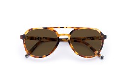 Nicol Caramel Tortoise Lenses Brown £85