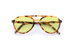 Nicol Caramel Tortoise Lenses Sunbeam £85