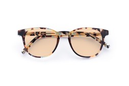 Smith Walnut Tortoise Lenses Tangerine £85