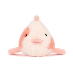 Fancy Carp £30