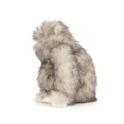 Bretti Yeti £50