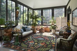 Iris Apfel Birds Of A Feather Multicolour Rug