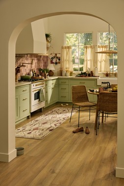 Saguaro Trail Ivory & Rust Rug