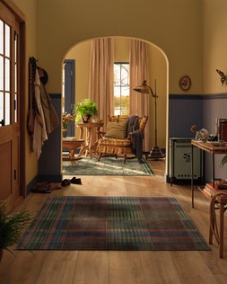 Emerson Brown Multicolour