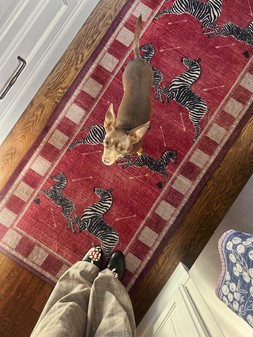 Zebras Red Rug