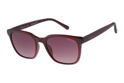 Radley Hillgate Burgundy Square Sunglasses