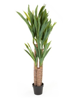 The Very Collection 120cm Triple Stem Faux Yucca €114.99 at Very.ie