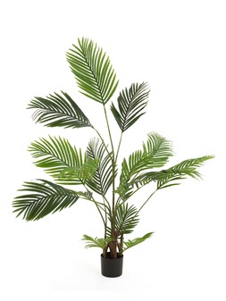 The Very Collection 155cm Real Touch Faux Pearl Palm Tree €114.99 at Very.ie